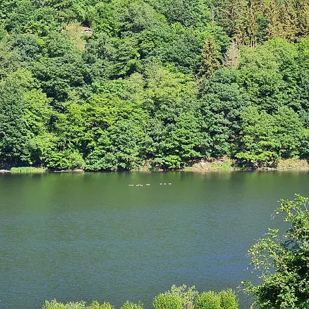 Ferienwohnung Am Rursee Apartment *